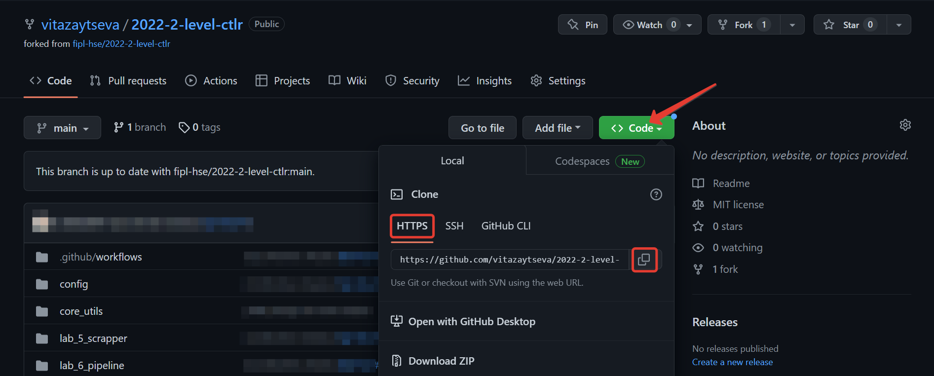 cloning repository